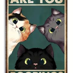 Are You Pooping, Cats : Metal Sign