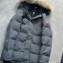 canada goose Image 2