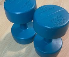 Weider Olympian Dumbells 5kg each