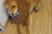 Lion Cuddly Toy