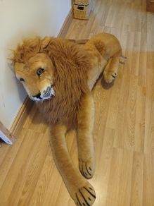 Lion Cuddly Toy