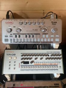 Cyclone Analogic TT-303 Bass Bot V2