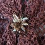 Avalon Brown  Lace  Cardigan.   Size 14.  New - No Tag. Image 4