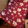 brand new dog/cat bed Image 3