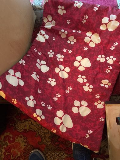 brand new dog/cat bed