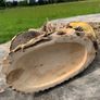 Adorable signed rustic tableau of hedgehog & sparrow having a chat, with hidey holes for tiny field mice. Hand carved, a special Christmas gift Image 8