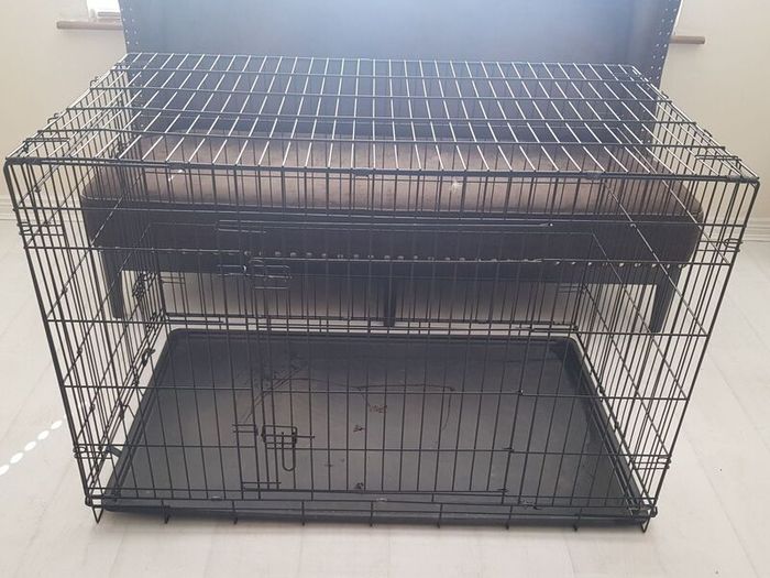 Dog Crate
