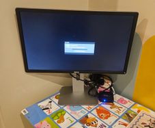 dell monitor 24inch brand new