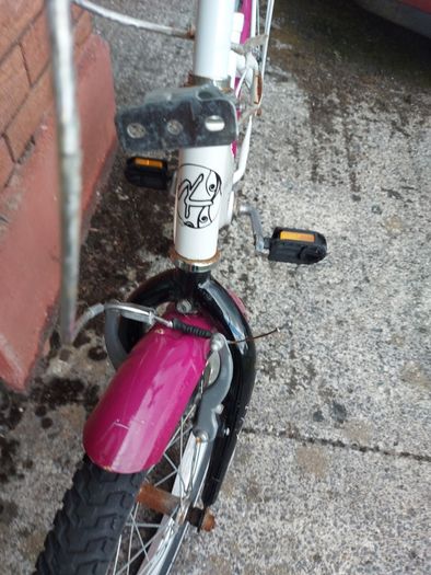 Girls Bike (Kate), 20 Wheels, in Excellent condition