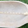 Antique Wooden Dough Bowl - Rare Bread Trough - Primitive Hand Carved Trencher Bowl - Country Wooden Bowl - Farmhouse Decor 20" x 10" Image 7