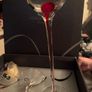 new grange 3 candle holders and 3 candles Image 2