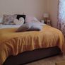 Faith And Ethan Bed Base (5ft) Image 4