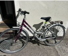 ladys bike
