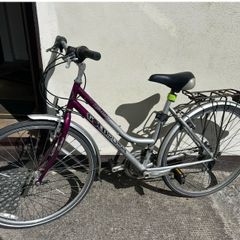 Ladies Goldrush Bicycle