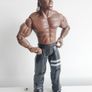 WWE Jakks Pacific wrestlers Image 5