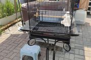 bird cage