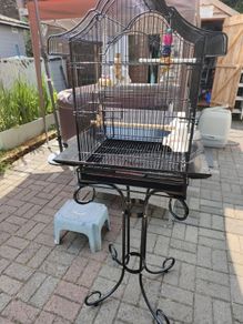 bird cage