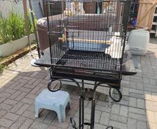 bird cage