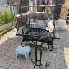 bird cage