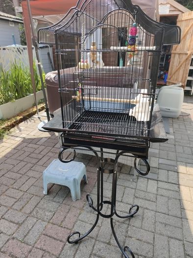 bird cage