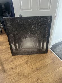 canvas