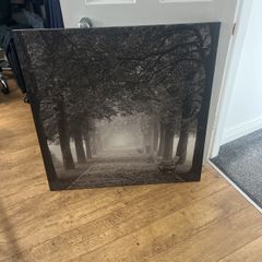 canvas
