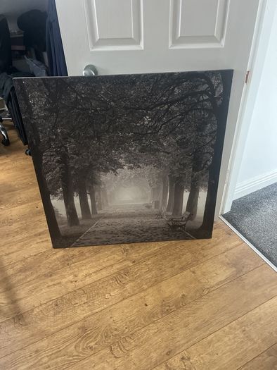 canvas