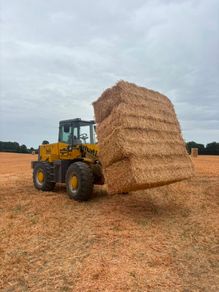 Pea Straw