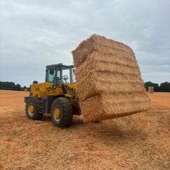 Pea Straw