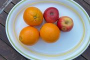1960's Arklow pottery oval plate