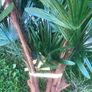 Artificial Flower Image 8