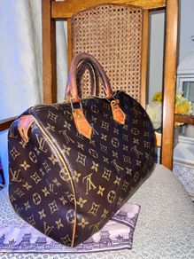 Louis Vuitton Speedy 30 handbag