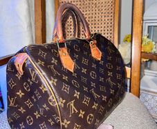 Louis Vuitton Speedy 30 handbag