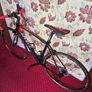 Giant Defy 1Racing bike Image 2