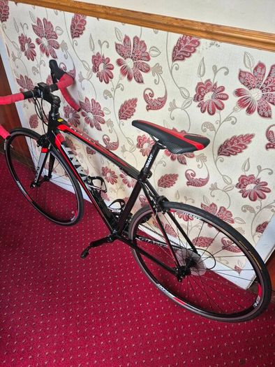 Price drop Giant Defy 1Racing bike