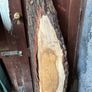 Slab of Oak Image 2