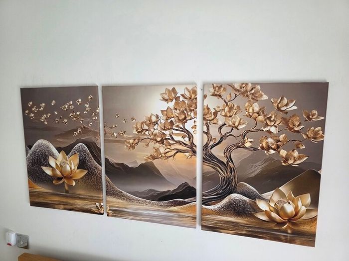 3 framed printed canvas 35x55cm each