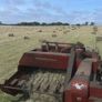 Small square bales and round bales of hay Image 3