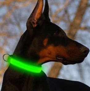 LED USB Glowing Dog Collar Rechargeable Luminous Collar Adjustable large Dog Night Light Collar Pet Safety Collar