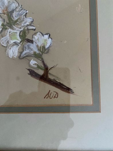 Botanical pastel drawing - framed