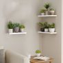 FREE EXPRESS SHIPPING Set of 3 Wall Floating Shelves,Wall Mounted Storage Shelves,Wood Wall Shelves for Living Room, Bedroom, Bathroom,White Image 2