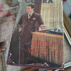 Rare 1925 Rudolph Valentino "Cobra" Photoplay Edition Book (Martin Brown & Russell Holman)