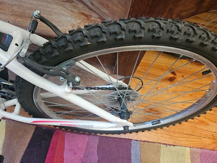 Apollo Bike Entice