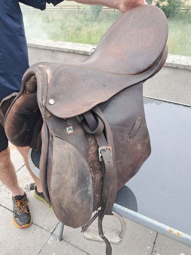 Equestrian Saddles x 6