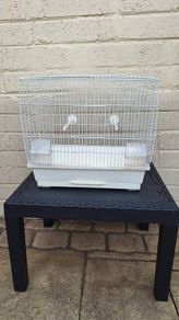 bird cage