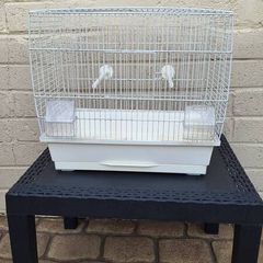 bird cage