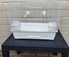 bird cage