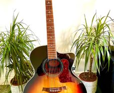 SX Acoustic electric guitar