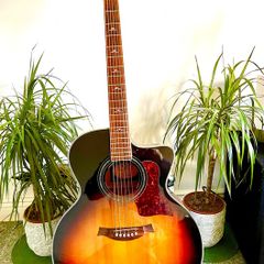 SX Acoustic electric guitar