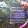 Vegan cooking book Image 2
